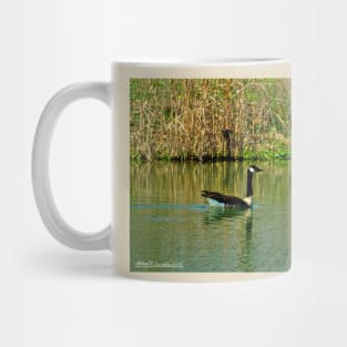 Two on a Pond Mug